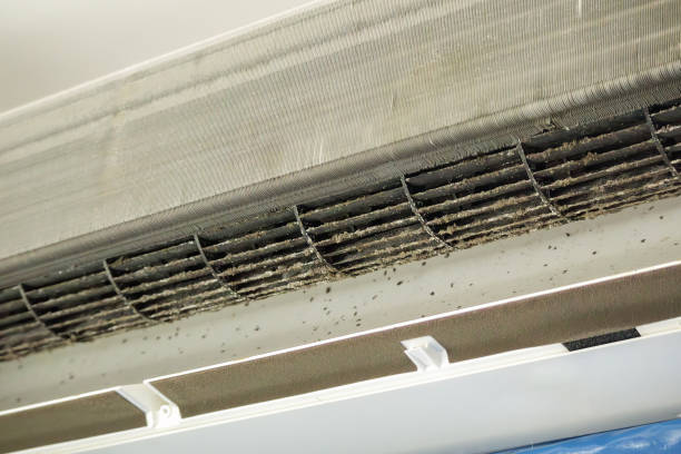 HVAC System Cleaning in ID